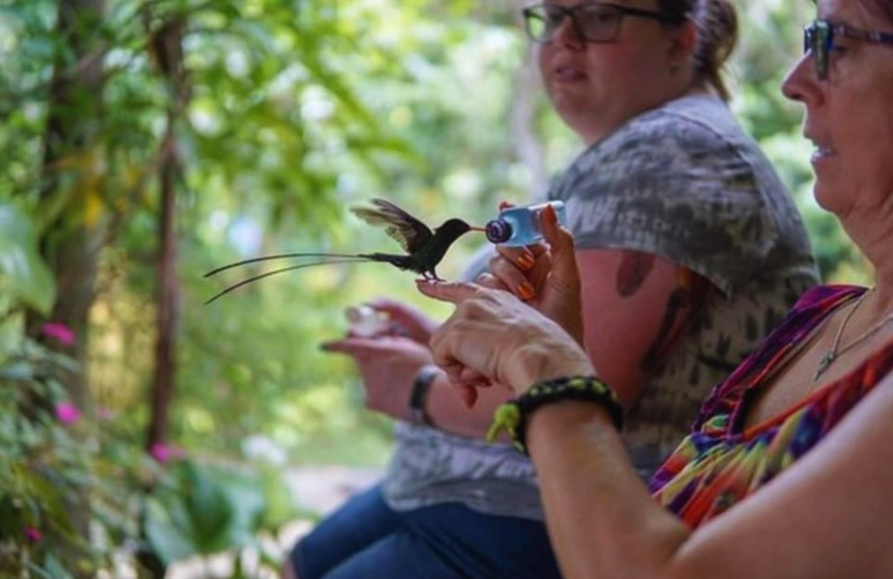 Bird Sanctuary - Montego bay