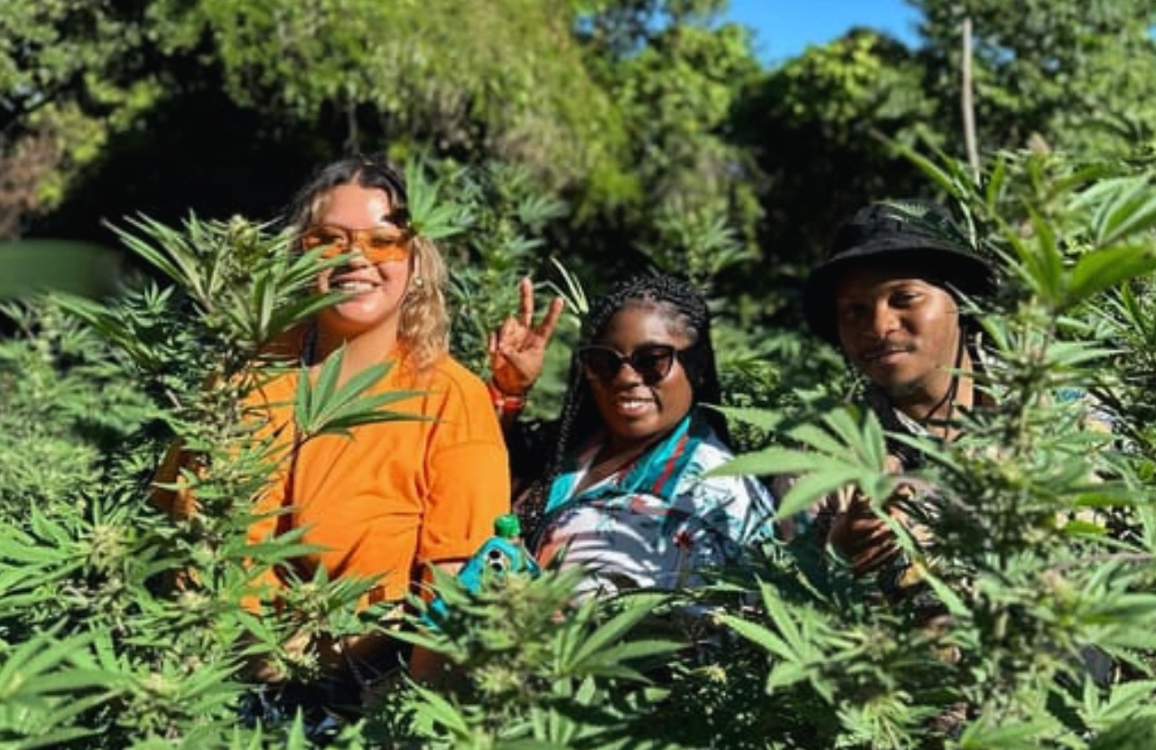 Weed farm & Jet ski - Montego bay