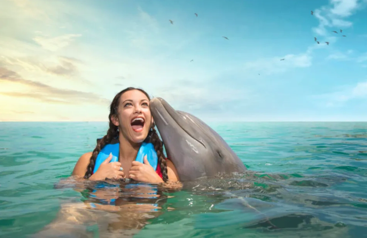Dolphin Encounter - Ocho Rios