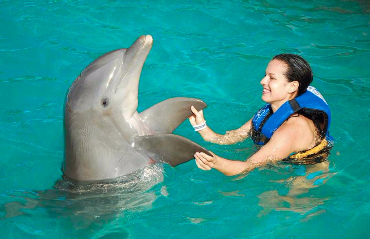 Dolphin Swim - Ocho Rios