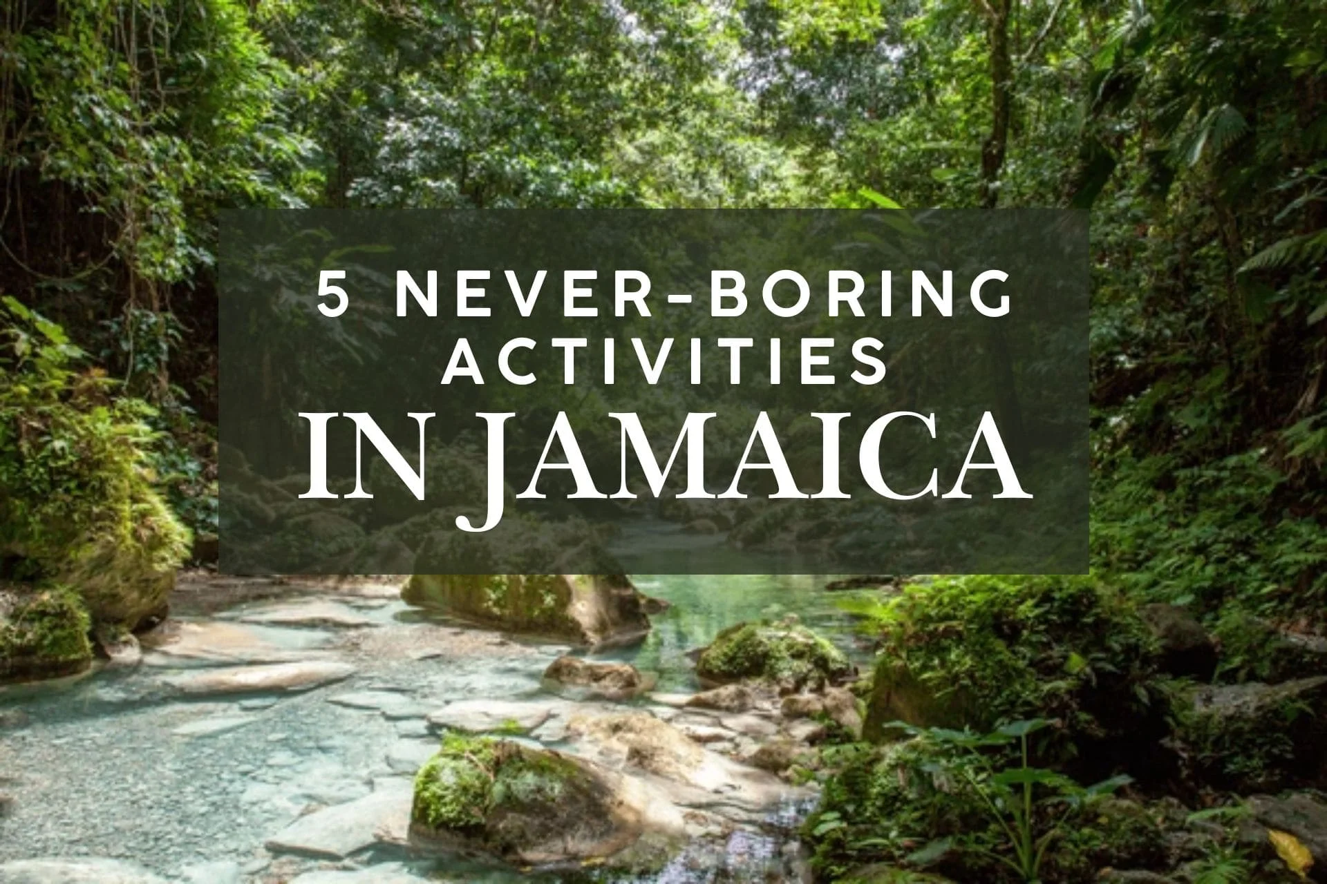5 Never-Boring Activities in Jamaica Tours