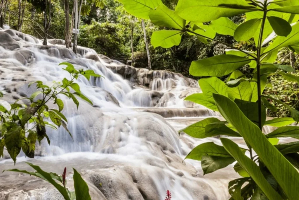 Dunn’s River Falls – Ocho Rios