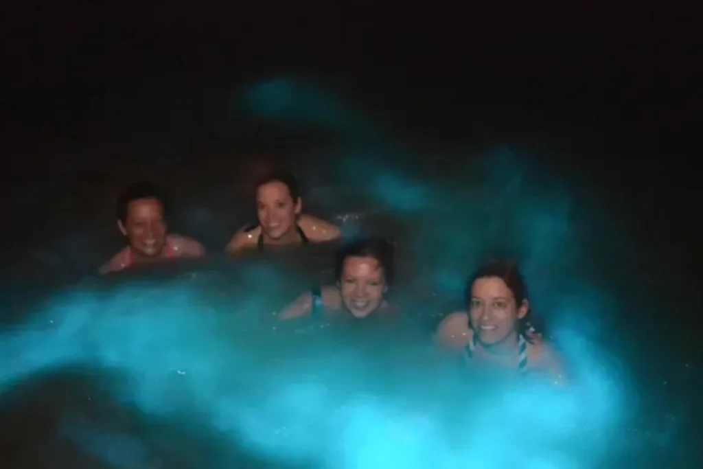 Luminous Lagoon Falmouth Trelawny