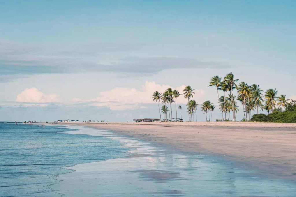 Choose the right beach spot in Jamaica and get you dinner on the beach in Jamaica
