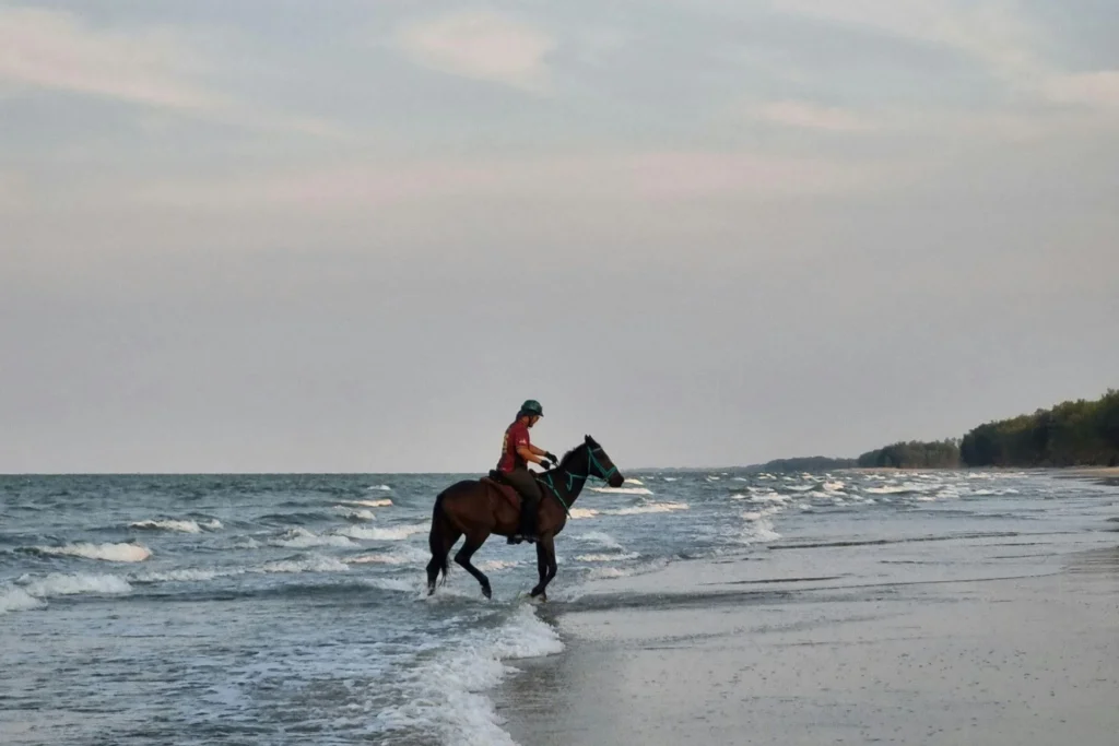 Horseback Riding & Blue Hole - Top Adventures in Ocho Rios