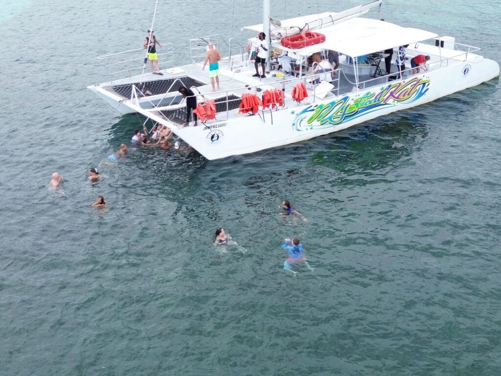 Top 7 Reasons to Book the Falmouth Luminous Lagoon Sunset Cruise 8 6188c2cf 8c66 462d 81dc fff369f0151d