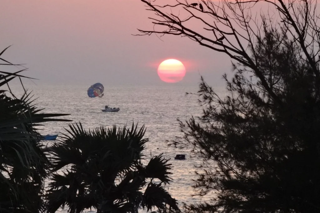 Top 7 Reasons to Book the Falmouth Luminous Lagoon Sunset Cruise 5 Choosing Your Luminous Lagoon Tour