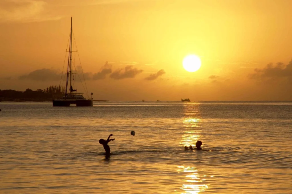 Top 7 Reasons to Book the Falmouth Luminous Lagoon Sunset Cruise 4 Get Swimming in the Luminous Blue Lagoon