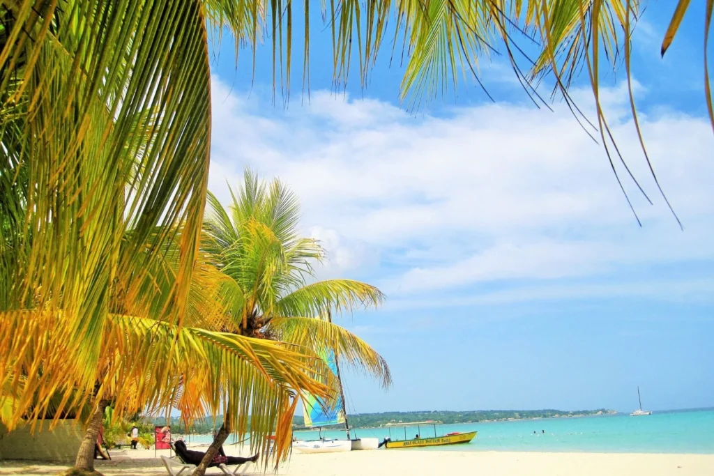 Top 7 Reasons to Book the Falmouth Luminous Lagoon Sunset Cruise 2 Luminous Lagoon Jamaica Best Time to Visit