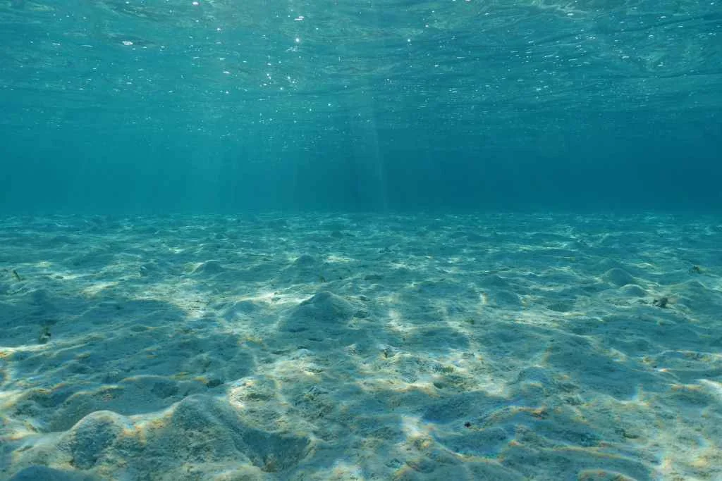 5 Perfect Tours to Experience the Real Jamaica 4 Romantic Sunset at Luminous Lagoon In Jamaica