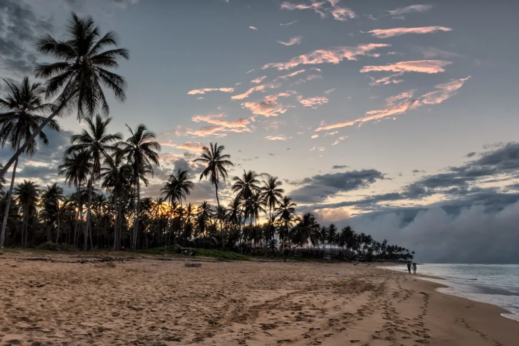 Top 7 Reasons to Book the Falmouth Luminous Lagoon Sunset Cruise 3 The Luminous Lagoon and Sunset Cruise Experience